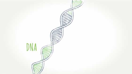 DNA graphic