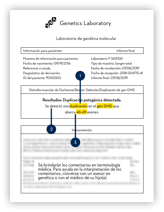 Informes de pruebas genéticas simuladas usados solo para fines ilustrativos