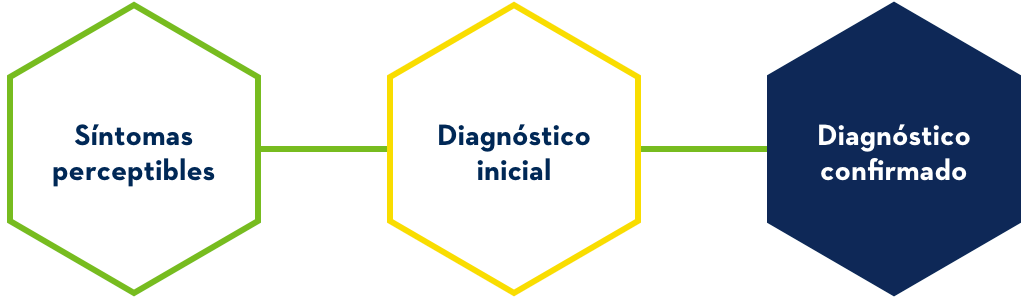 Pasos para obtener un diagnóstico: detección de los síntomas, diagnóstico inicial, confirmación del diagnóstico