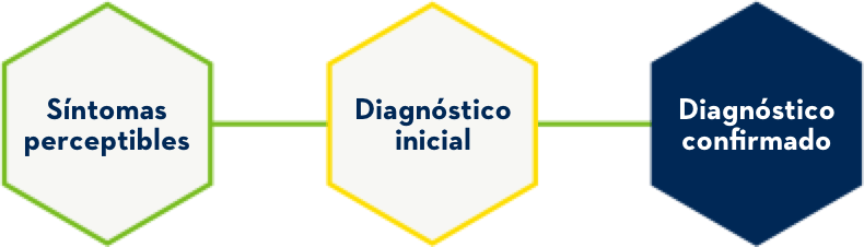 Pasos para obtener un diagnóstico: detección de los síntomas, diagnóstico inicial, confirmación del diagnóstico