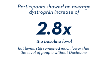 Participants showed an average dystrophin increase of 2.8x the baseline level, but levels still remained much lower than the level of people without Duchenne.