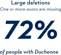 Large deletions: one or more exons are missing 72% of people with Duchenne