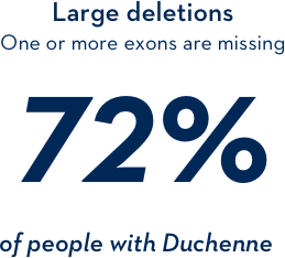 Large deletions: one or more exons are missing 72% of people with Duchenne Large deletions: one or more exons are missing 72% of people with Duchenne