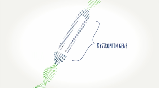 EXONDYS 51 illustration depicting dystrophin gene and exons as part of understanding exon skipping technology