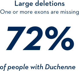 Large deletions: one or more exons are missing 72% of people with Duchenne Large deletions: one or more exons are missing 72% of people with Duchenne