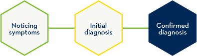 3 hexagons in a line denoting steps in the Duchenne diagnostic process: noticing symptoms, initial diagnosis and confirmed diagnosis
